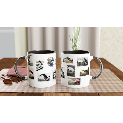 Quality mug with 13 birds commonly seen in Florida, all painted by John James Audubon.